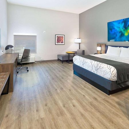 La Quinta Inn & Suites By Wyndham Dallas/Fairpark Экстерьер фото